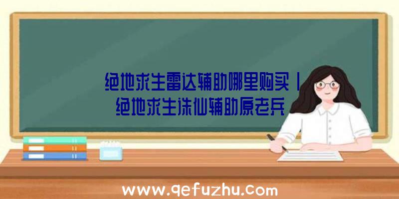 「绝地求生雷达辅助哪里购买」|绝地求生诛仙辅助原老兵